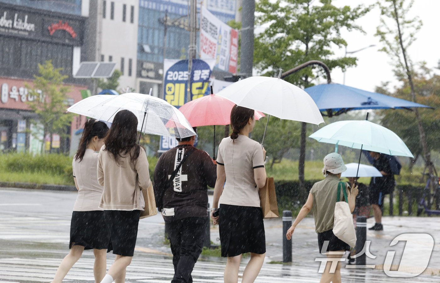 (광주=뉴스1) 김태성 기자 = 16일 오전 광주광역시 전역에 비가 내리는 가운데 광산구 수완지구 횡단보도를 시민들이 우산을 쓰고 걸어가고 있다. 2025.7.16/뉴스1