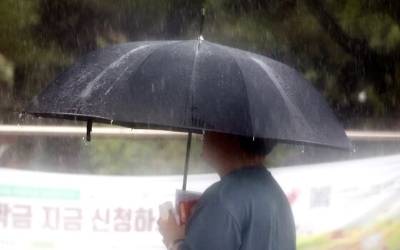군산 245㎜·남원 178㎜…전북 비 계속 10~60㎜