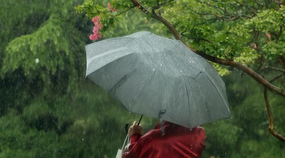 장수 번암 50.5㎜…전북 오후까지 5~30㎜ 더