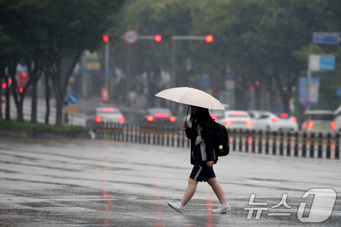 (대구=뉴스1) 공정식 기자 = 16일 오후 비가 내리는 대구 수성구 달구벌대로에서 우산을 쓴 학생이 발걸음을 옮기고 있다. 2025.7.16/뉴스1