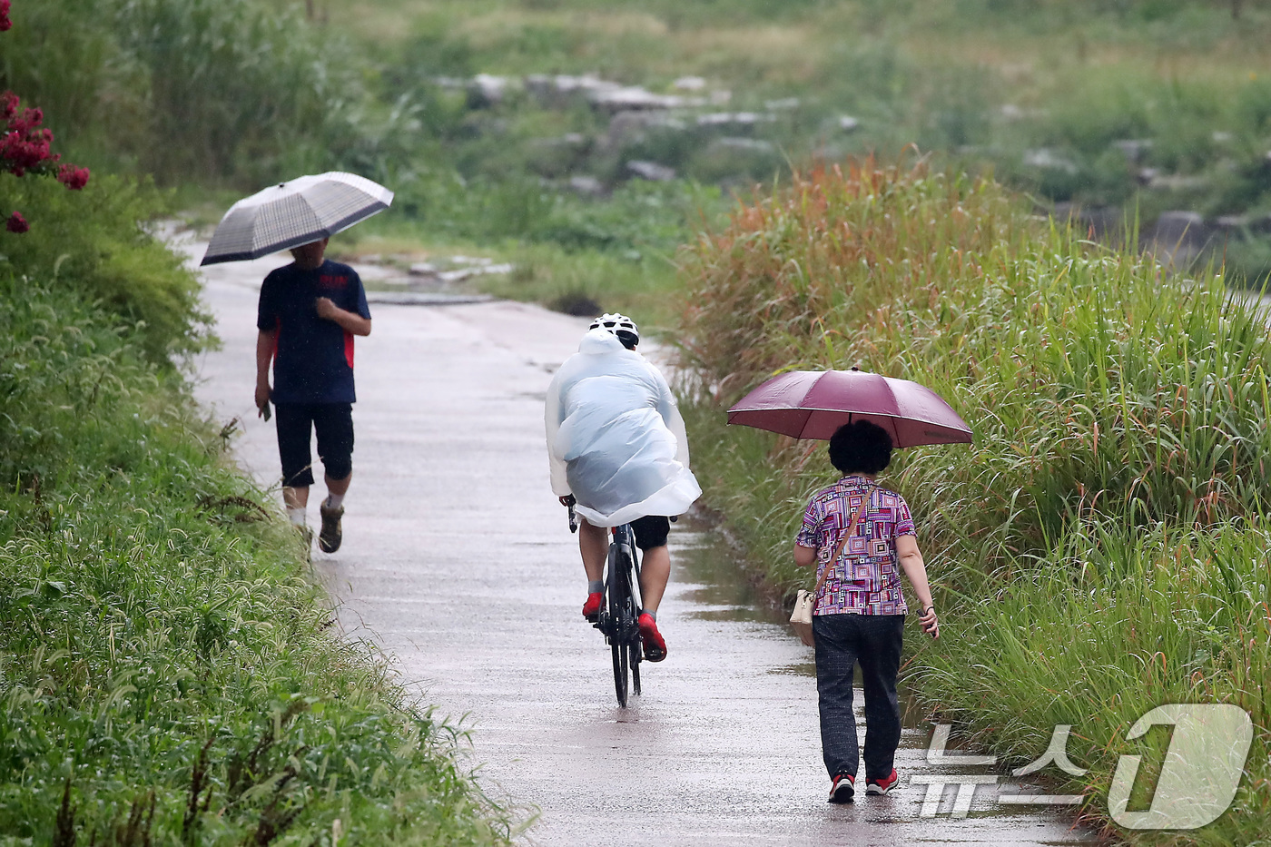 (대구=뉴스1) 공정식 기자 = 16일 오후 비 내리는 대구 수성구 매호천에서 우산을 쓴 시민들이 산책하고 있다. 2025.7.16/뉴스1