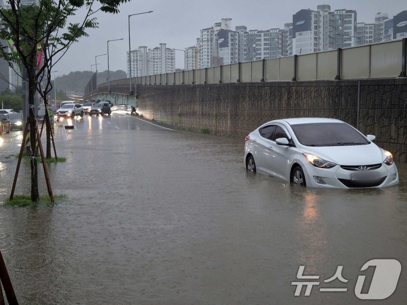 폭우에 침수된 탑동사거리 - 뉴스1