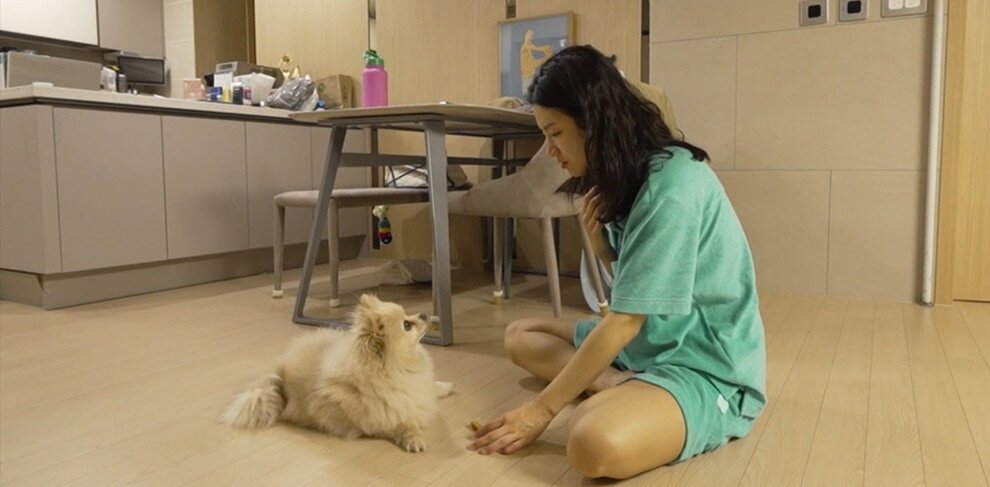 본문 이미지 - MBC