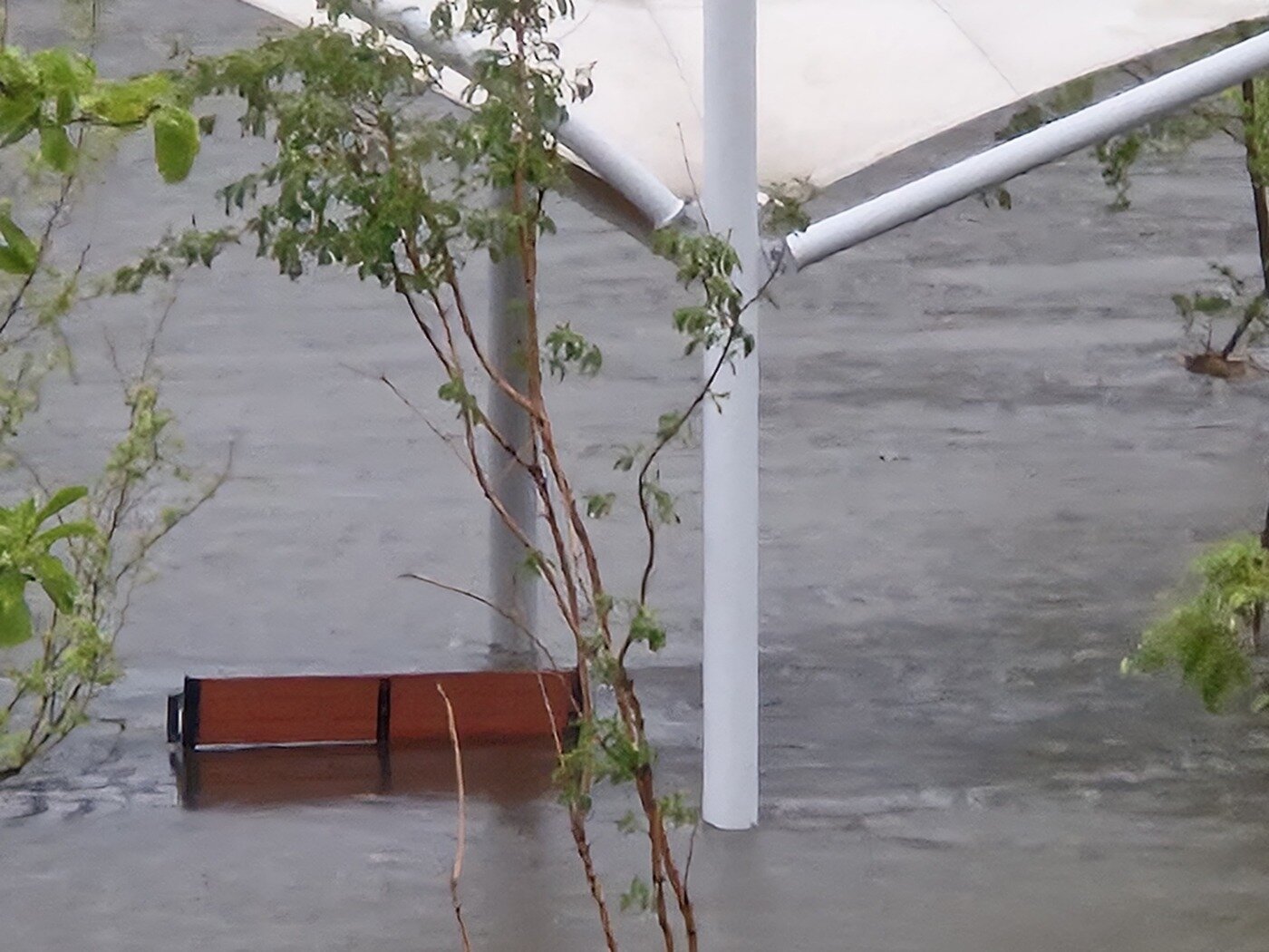 본문 이미지 - 17일 오전 집중호우로 인해 서울 동대문구 중랑천이 범람해 벤치가 물에 잠긴 모습. 2025.7.17/뉴스1 ⓒ News1 박응진 기자