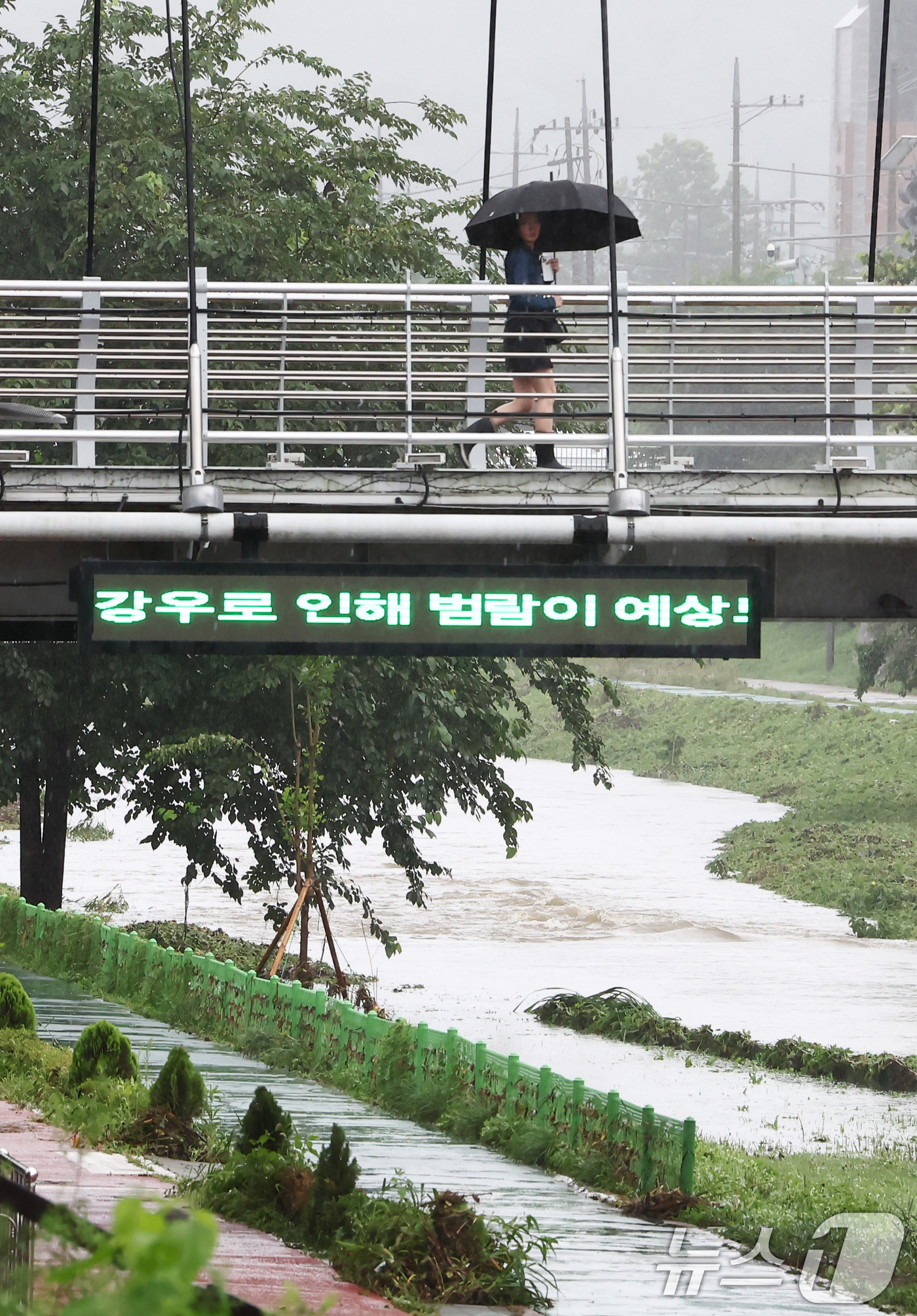 (서울=뉴스1) 김민지 기자 = 전국에 강한 비가 내리는 17일 오전 서울 서대문구 불광천 일대 하천 출입이 통제되고 있다.앞서 서울시는 이날 오전 7시 기준 불광천, 홍제천, 청 …