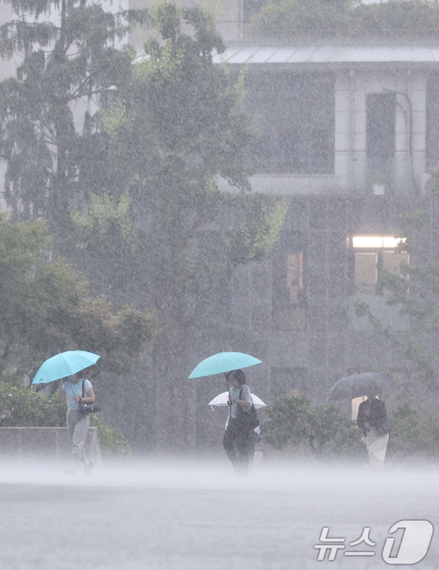 (서울=뉴스1) 구윤성 기자 = 17일 오전 서울 서초구 서초동 일대에서 우산을 쓴 시민들이 폭우에 발걸음을 옮기고 있다. 2025.7.17/뉴스1
