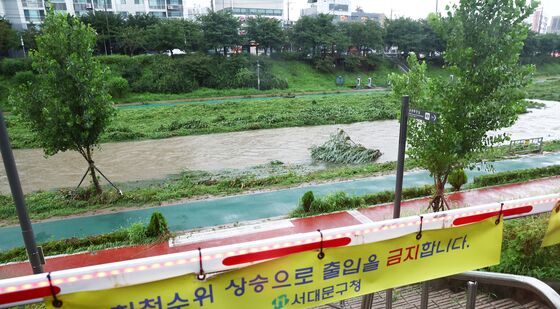 '불광천 하천 출입 통제'