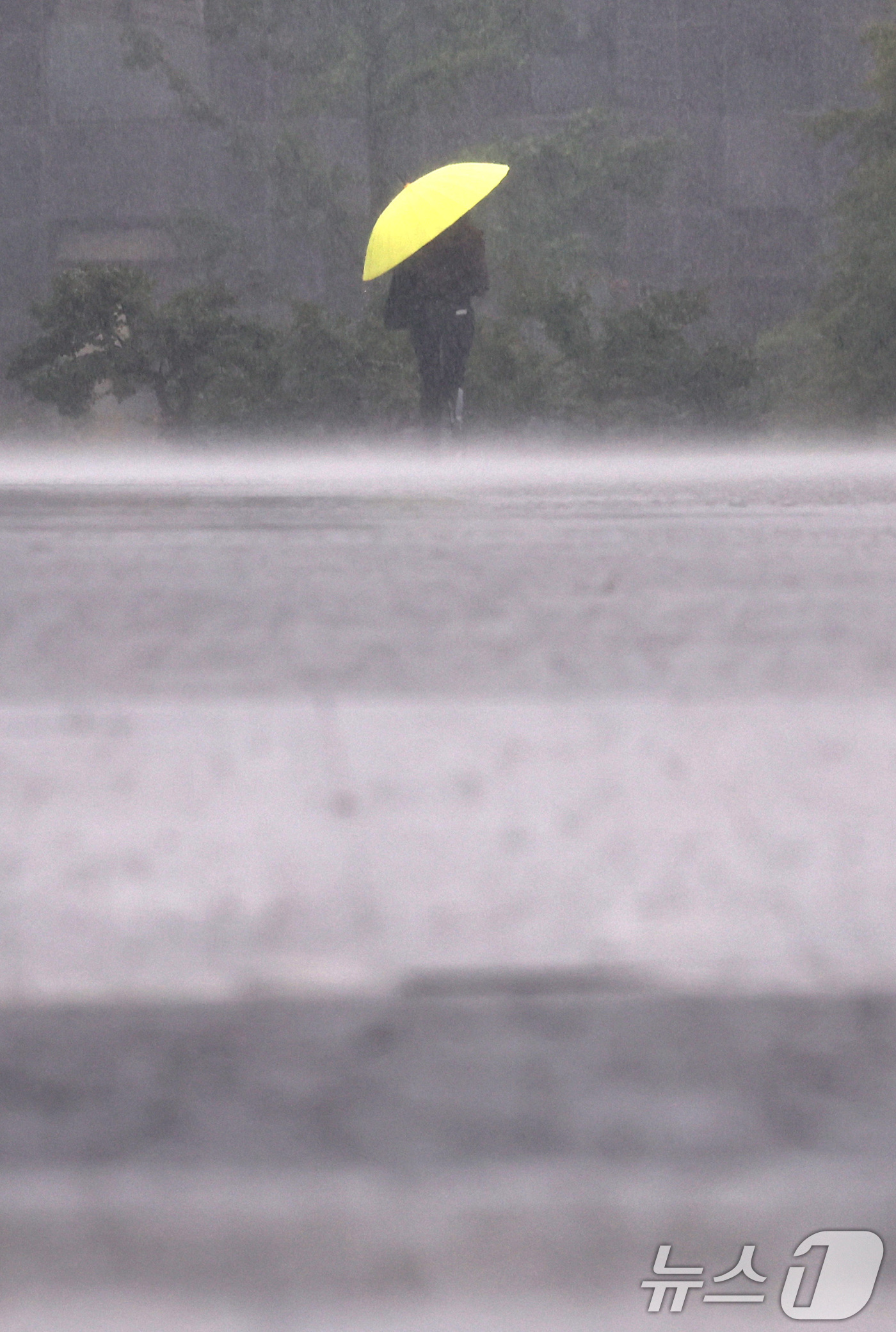 (서울=뉴스1) 구윤성 기자 = 17일 오전 서울 서초구 서초동 일대에서 우산을 쓴 시민이 폭우에 발걸음을 옮기고 있다. 2025.7.17/뉴스1