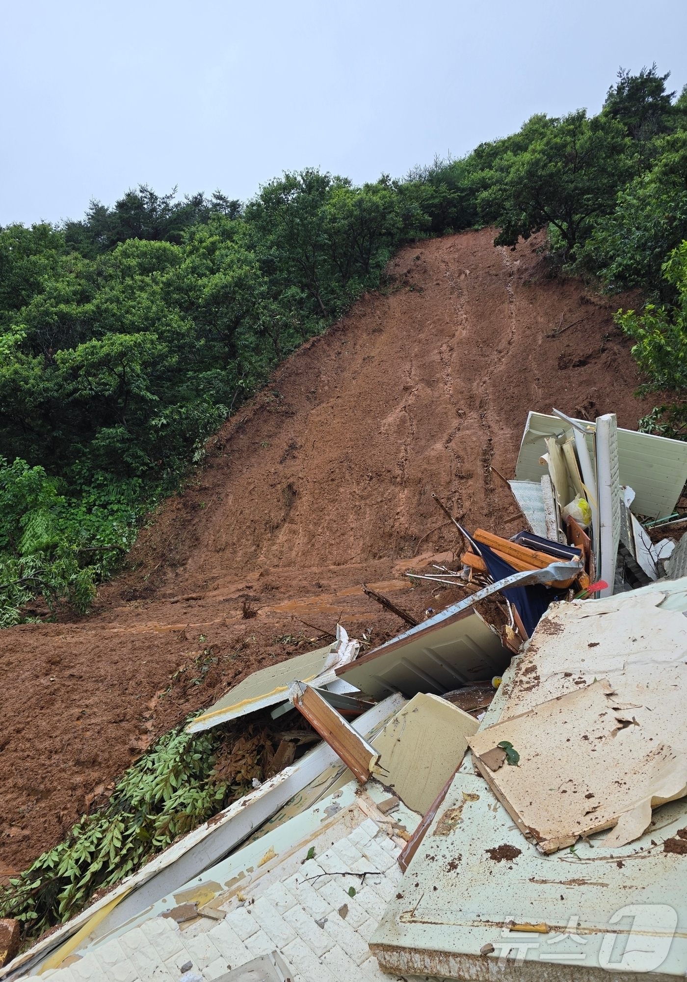 (청영=뉴스1) 이동원 기자 = 17일 오전 9시34분쯤 청양군 대치면 주정리에서 산사태가 발생했다.소방당국은 산사태로 무너진 흙더미에 매몰된 것으로 추정된 주민 2명을 구조했다. …
