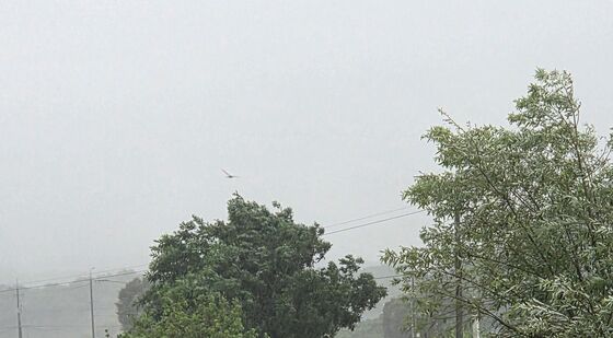 폭우로 유실된 소하천 농로