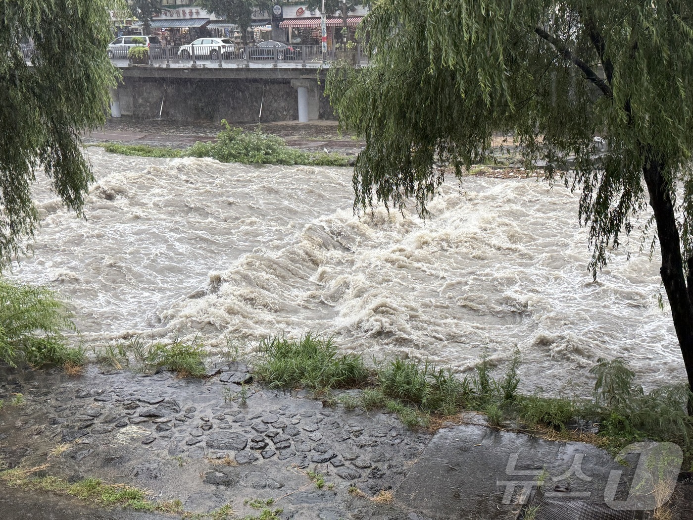 (광주=뉴스1) 김태성 기자 = 17일 오전 10시 10분을 기해 광주에 호우경보가 발령된 가운데 광주 도심을 가로지르는 광주천의 수위도 빠른 속도로 상승하면서 둔치가 침수 직전에 …