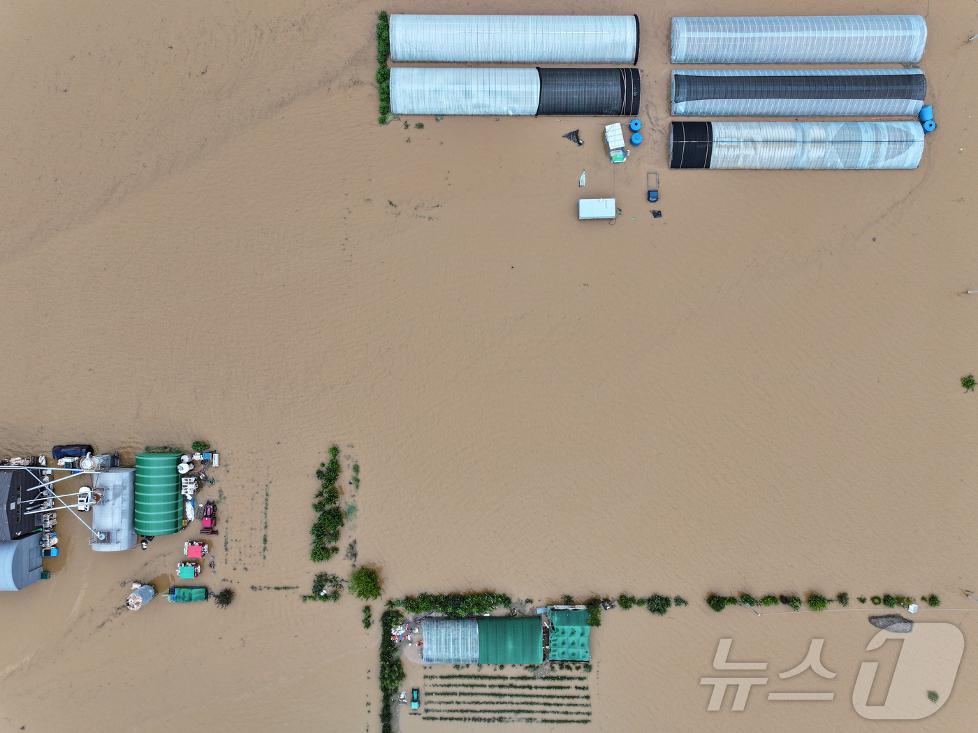 (당진=뉴스1) 김도우 기자 = 충청권을 중심으로 호우특보가 내려진 17일 충남 당진시 행정동 일대가 역천 범람으로 침수돼 있다. 2025.7.17/뉴스1