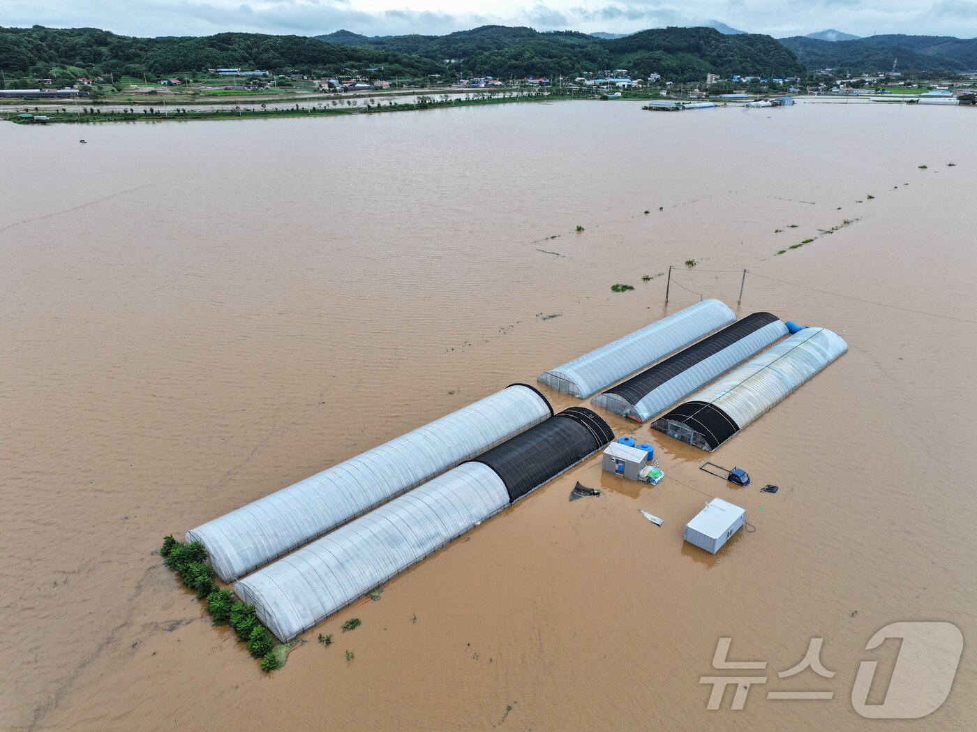 본문 이미지 - 충남 당진시 행정동 일대가 역천 범람으로 침수돼 있다. 2025.7.17/뉴스1 ⓒ News1 김도우 기자