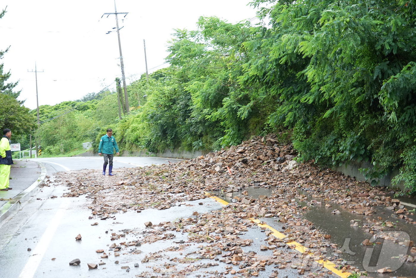 (서천=뉴스1) 이동원 기자 = 김기웅 서천군수가 17일 이른 아침부터 피해가 가장 심각한 서면 춘장대와 비인면등 현장을 긴급 방문하여 피해상황을 직접 점검하고 신속한 복구를 위한 …
