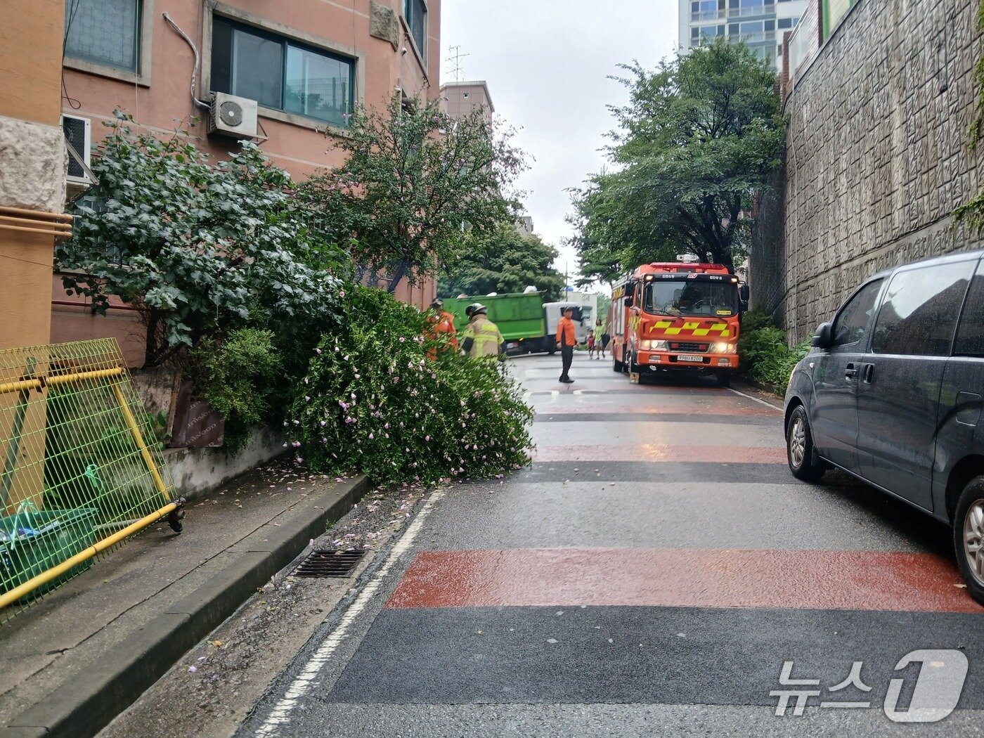 본문 이미지 - 소방대원들이 쓰러진 나무를 수습하고 있다.&#40;인천소방본부 제공. 재배포 및 DB금지&#41;2025.7.17/뉴스1