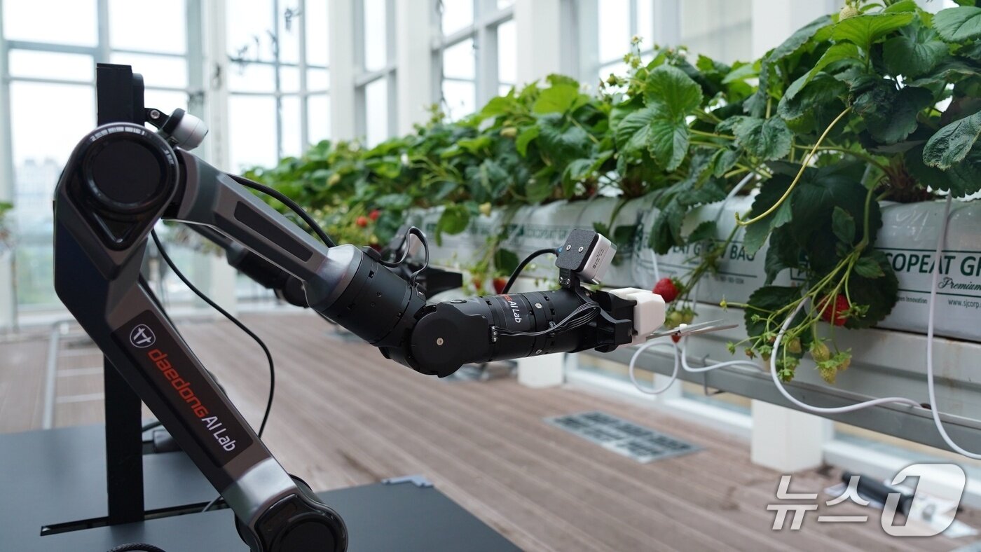 본문 이미지 - 대동에이아이랩의 AI를 바탕으로 작동하는 로봇팔&#40;대동 제공&#41;