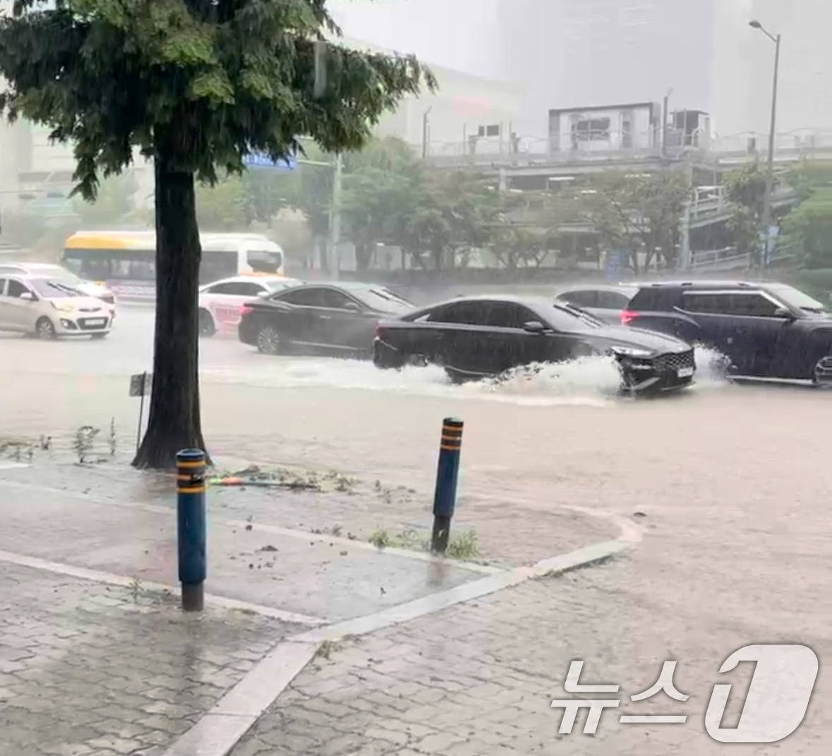 (광주=뉴스1) 이승현 기자 = 광주에 시간당 80㎜에 달하는 극한 호우가 쏟아진 17일 광주 서구 광천동 신세계 백화점 일대 도로에 물이 찬 모습. (독자제공. 재판매 및 DB …