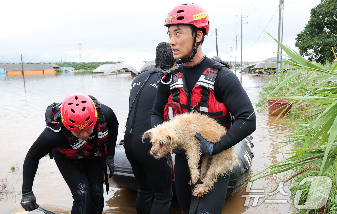 (예산=뉴스1) 김기태 기자 = 17일 충남 예산군 고덕면 용리에서 중앙119구조본부 충청강원 119특수구조대 대원들이 보트로 주민과 반려견을 구조하고 있다. 2025.7.17/뉴 …