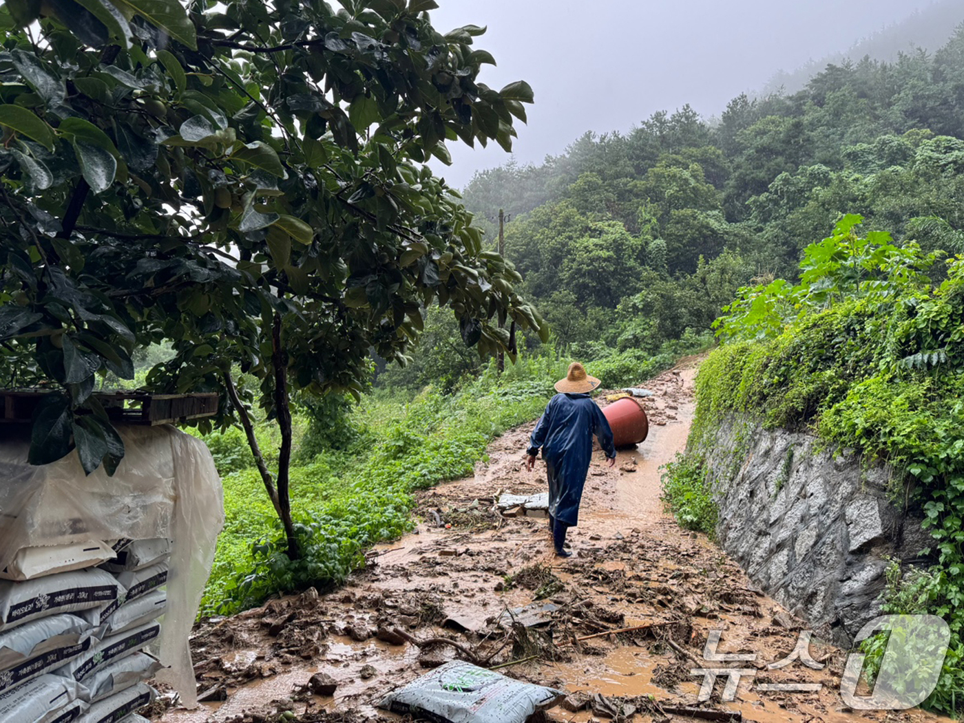 (청도=뉴스1) 최창호 기자 = 17일 오후 1시24분쯤 경북 청도군 구미리에 있는 산에서 토사가 마을로 흘러내리고 있다.  (경북도소방본부제공, 제판매 및 DB금지) 2025.7 …