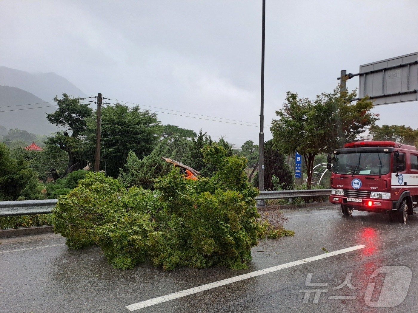 (정읍=뉴스1) 장수인 기자 = 17일 오후 1시 11분께 전북 정읍시 입암면 한 교차로에 가로수가 쓰러져 소방대원이 수목 제거 등 안전조치에 나서고 있다.(전북소방 제공. 재판매 …