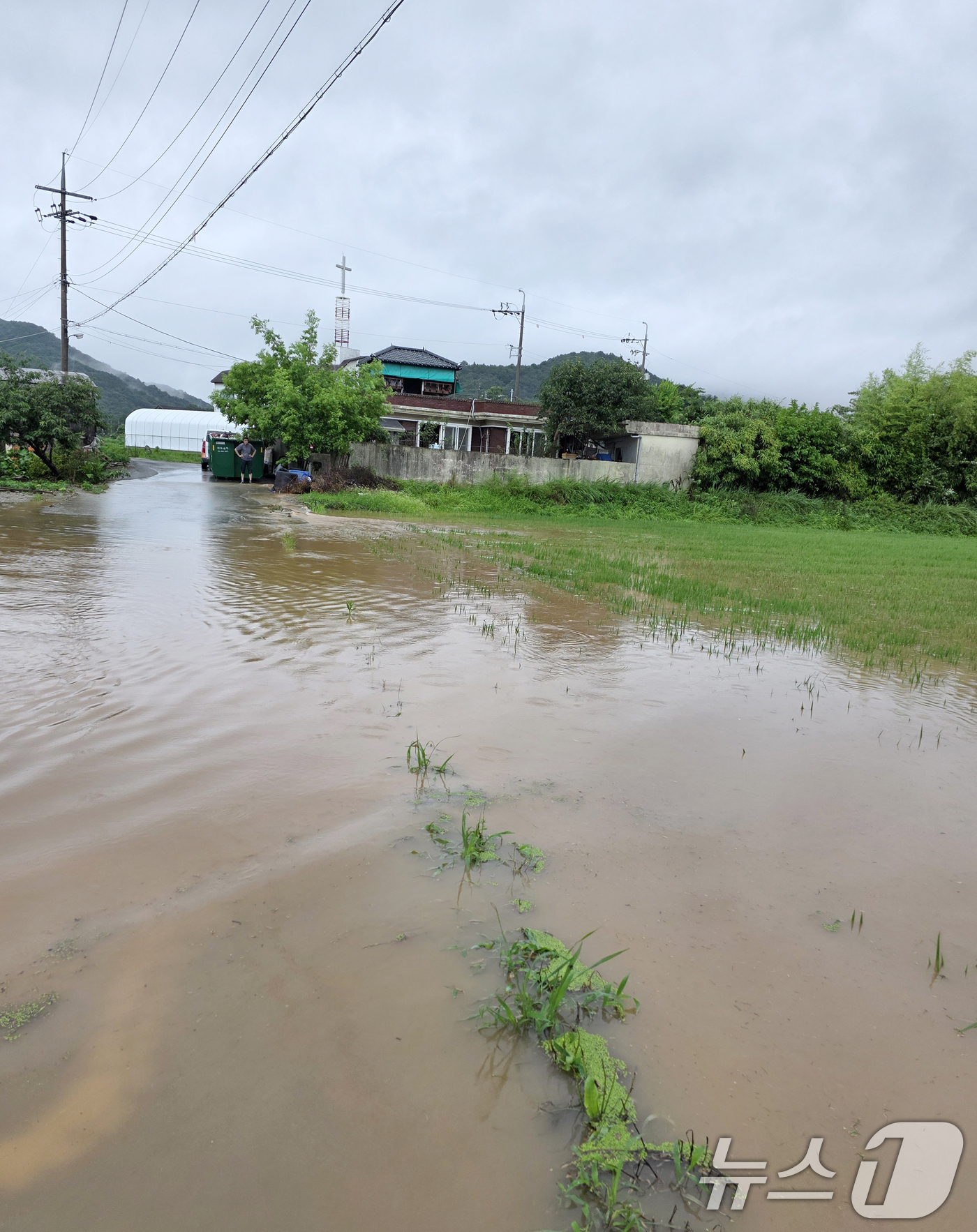(광주=뉴스1) 이승현 기자 = 광주에 시간당 80㎜의 극한 호우가 쏟아진 17일 광산구 농촌동 일대가 물에 잠긴 모습. (광주 광산구 제공. 재판매 및 DB 금지)