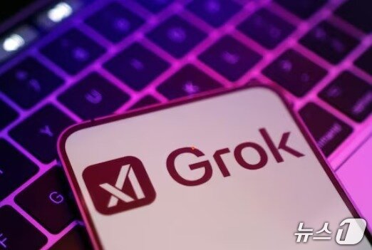 본문 이미지 - 그록 시각물 ⓒ 로이터=뉴스1