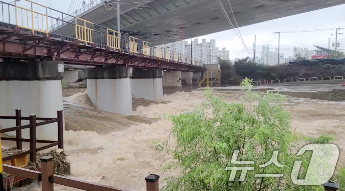 (광주=뉴스1) 이승현 기자 = 광주에 시간당 80㎜의 극한 호우가 쏟아진 17일 광산구 운남대교에 수위가 높아지고 있다. (광주 광산구 제공. 재판매 및 DB 금지)  2025. …