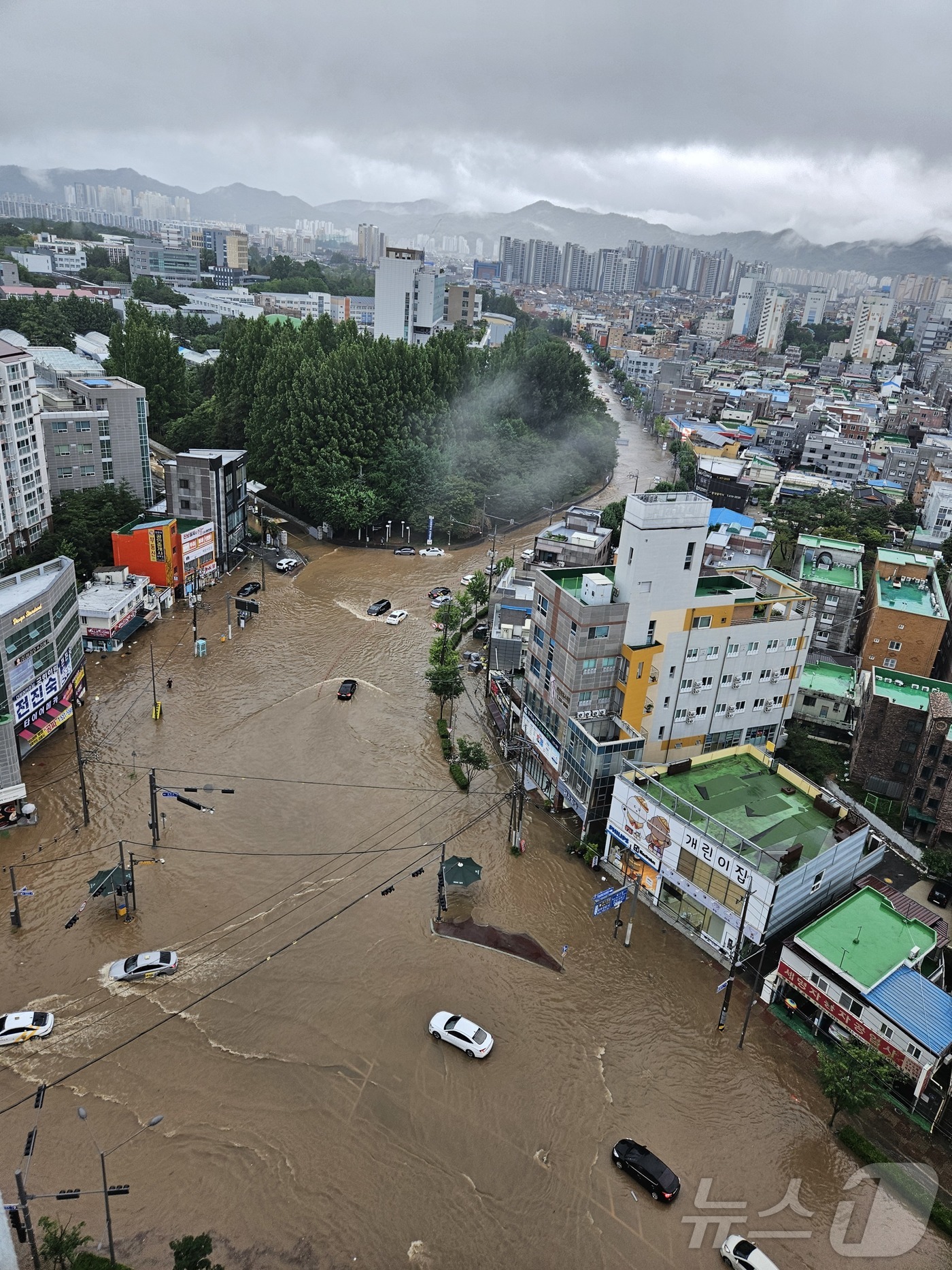 (광주=뉴스1) 박지현 기자 = 호우경보가 발효된 17일 상습침수 지역인 광주 북구 신안동 일대가 물에 잠겨 있다. (광주 북구 제공. 재판매 및 DB 금지) 2025.7.17/뉴 …