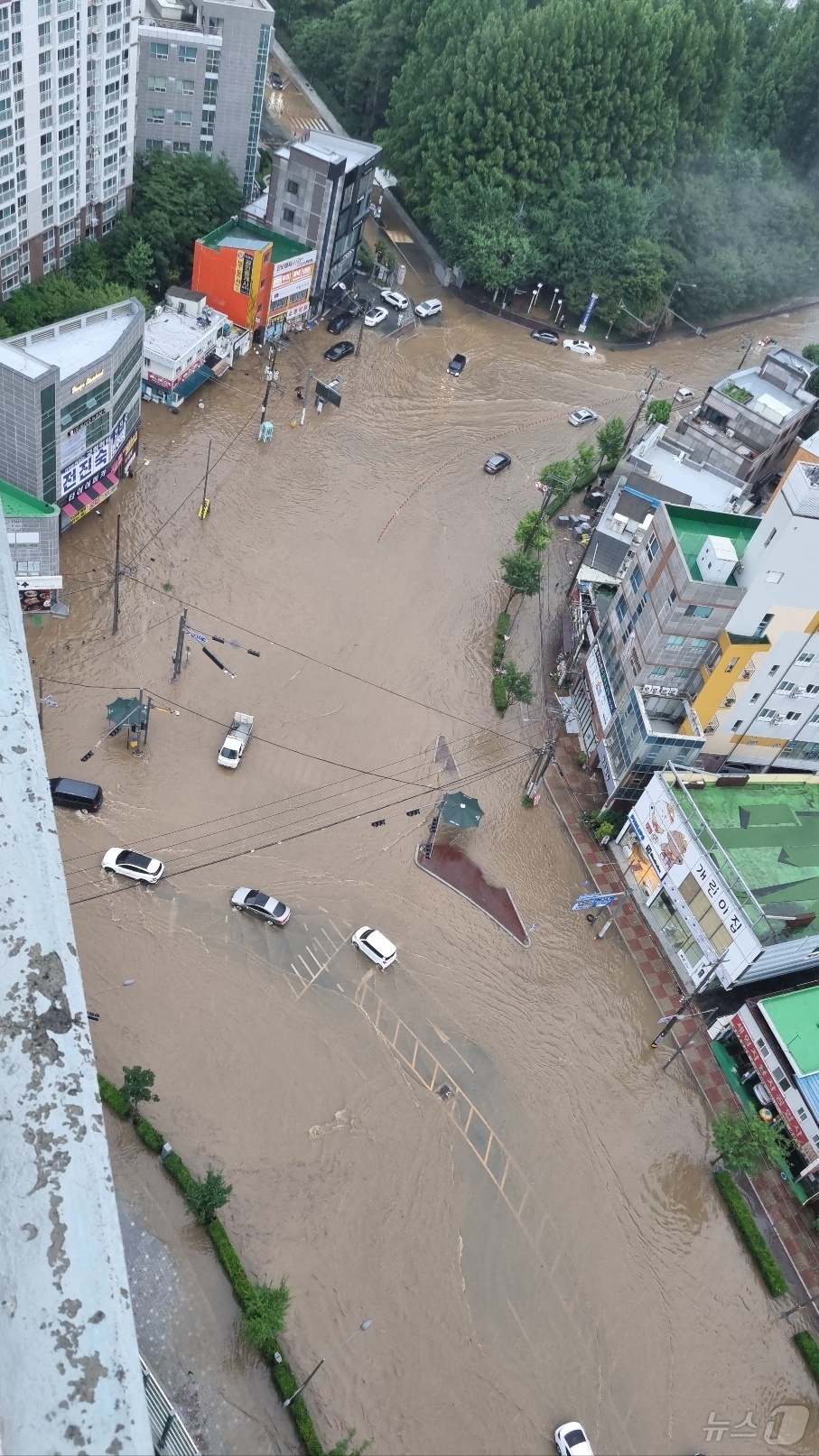 (광주=뉴스1) 박지현 기자 = 호우경보가 발효된 17일 낮 12시쯤 상습침수 지역인 광주 북구 신안동 일대가 물에 잠겨 있다. (광주 북구 제공. 재판매 및 DB 금지) 2025 …