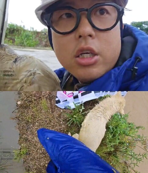 본문 이미지 - &#40;온라인 커뮤니티 갈무리&#41;