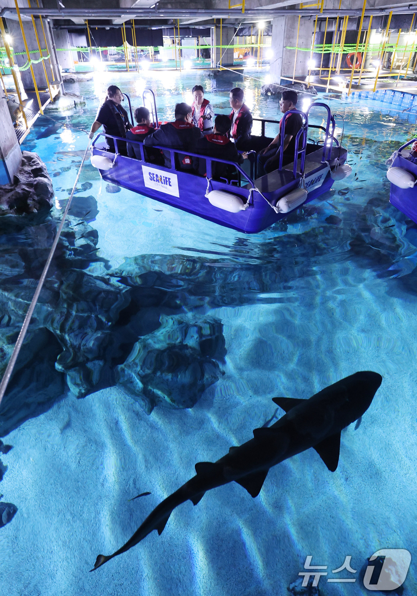 (서울=뉴스1) 박지혜 기자 = 17일 서울 강남구 코엑스 아쿠아리움에서 열린 신규 테마존 씨 앳 나이트(Sea at Night) 프리뷰 행사에서 참석자들이 해양탐험선 체험을 하고 …
