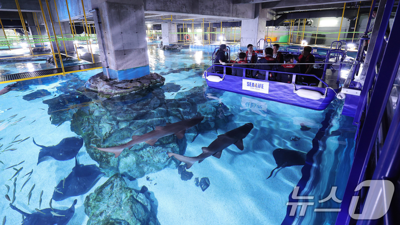 (서울=뉴스1) 박지혜 기자 = 17일 서울 강남구 코엑스 아쿠아리움에서 열린 신규 테마존 씨 앳 나이트(Sea at Night) 프리뷰 행사에서 참석자들이 해양탐험선 체험을 하고 …