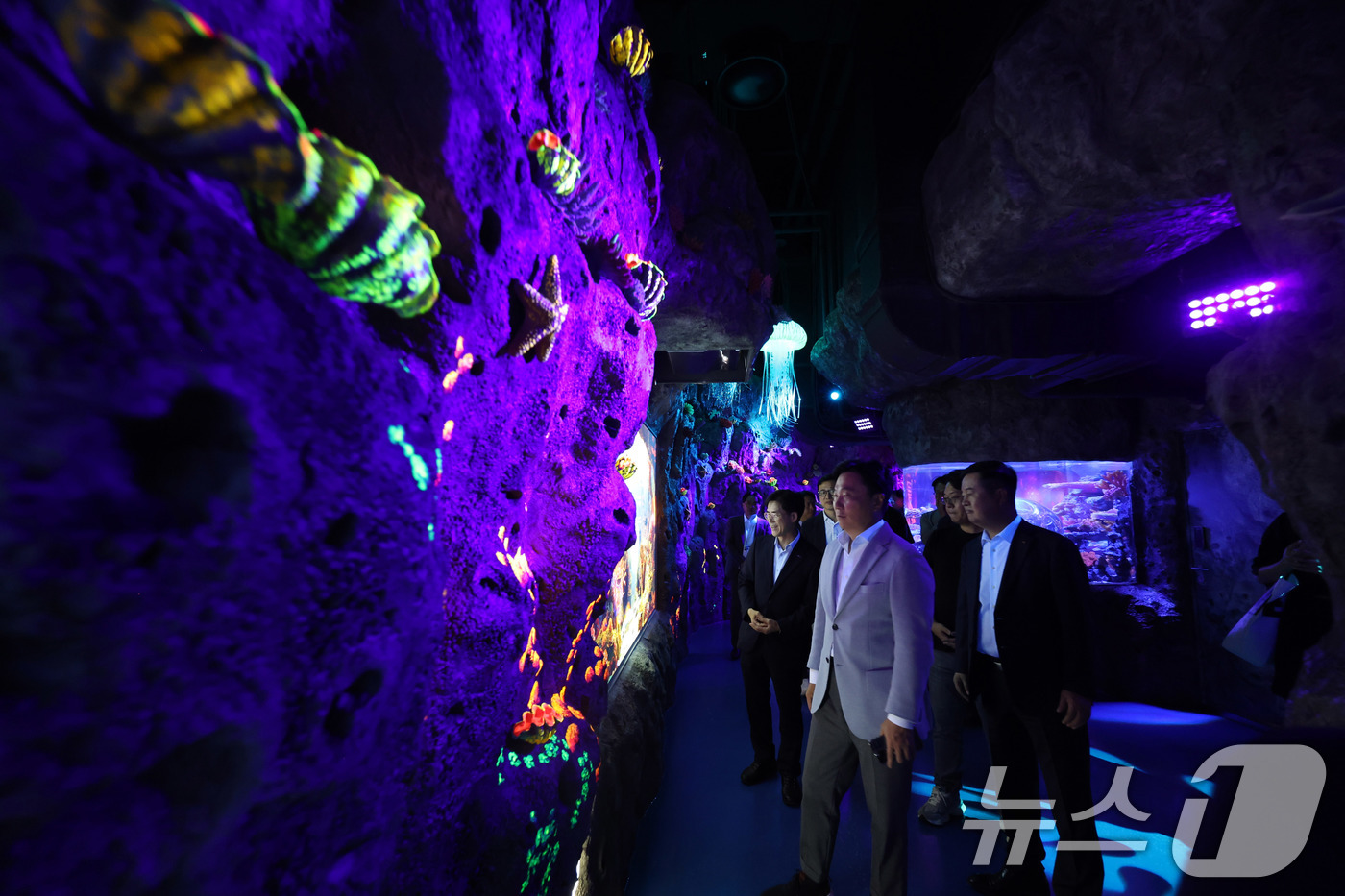 (서울=뉴스1) 박지혜 기자 = 17일 서울 강남구 코엑스 아쿠아리움에서 열린 씨 앳 나이트(Sea at Night) 프리뷰 행사에서 참석자들이 신규 테마존을 둘러보고 있다. 20 …