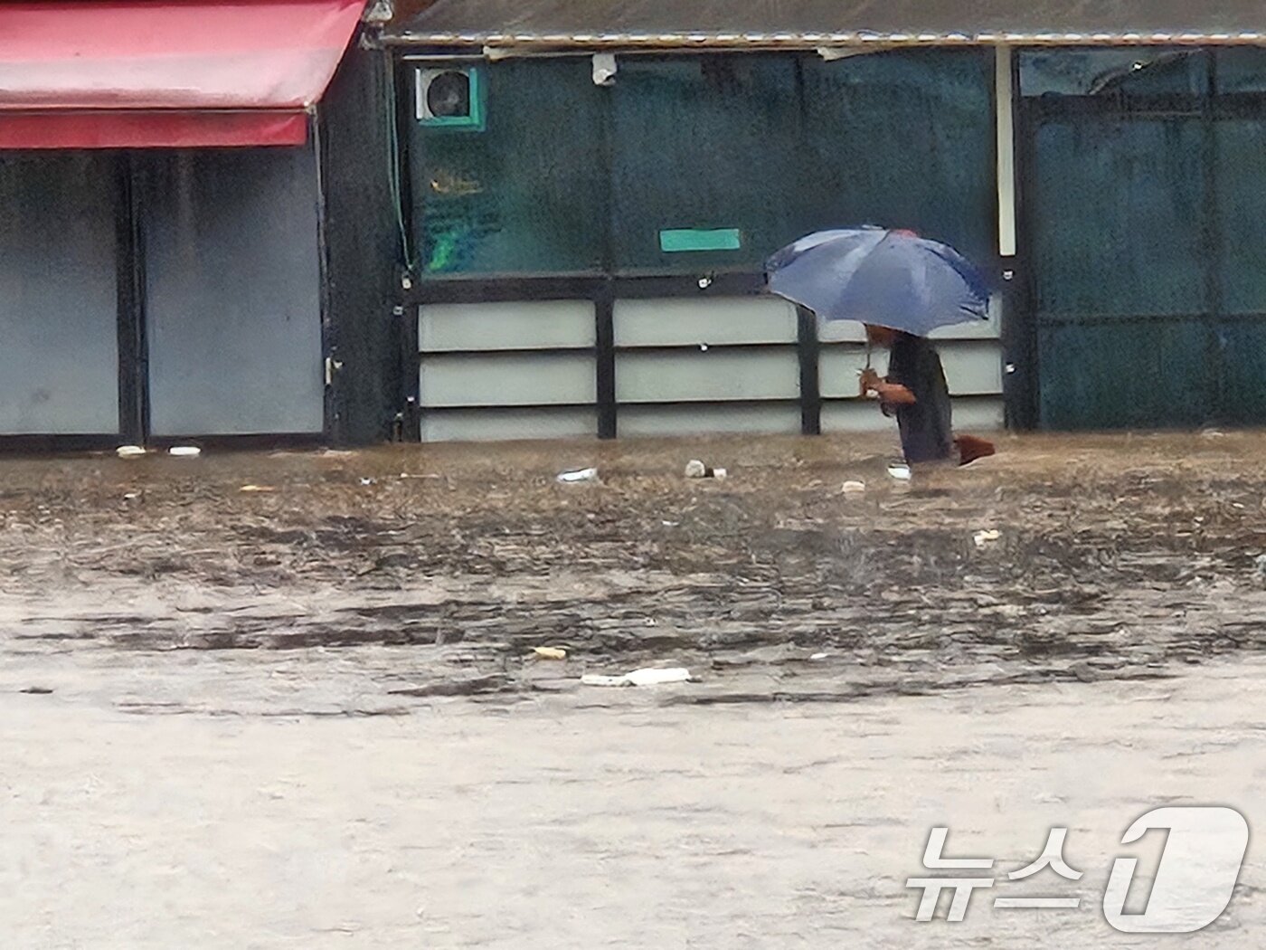 본문 이미지 - 17일 대구 북구 노곡동 일대가 침수돼 상가와 차량이 물이 잠겼다. 주민이 물길을 헤치고 걸어가고 있다.(독자 제공.재판매 및 DB금지) 2025.7.17/뉴스1 ⓒ News1 신성훈 기자