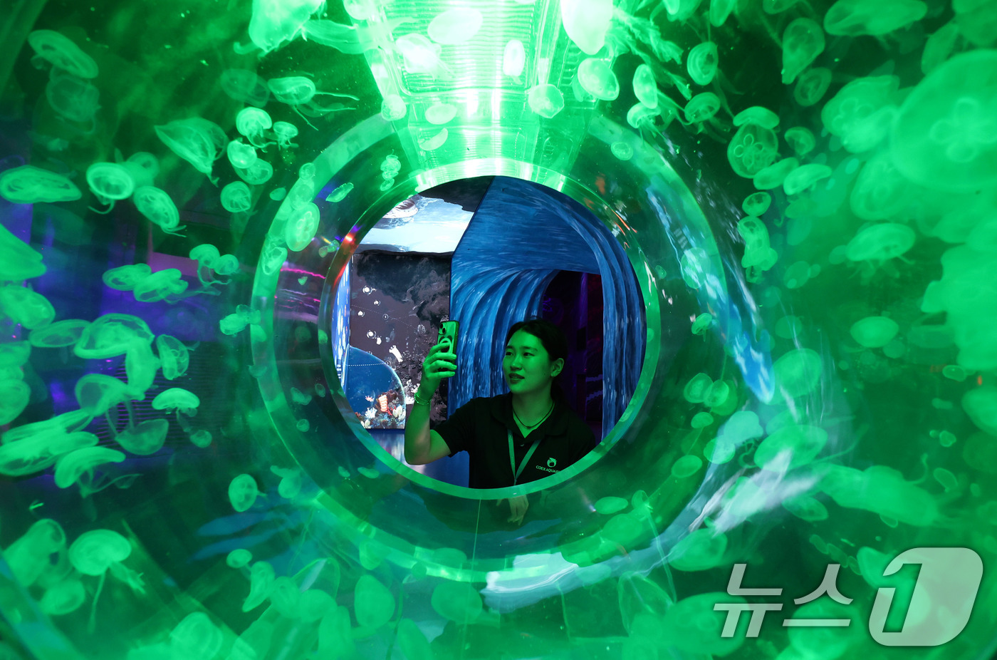 (서울=뉴스1) 박지혜 기자 = 17일 서울 강남구 코엑스 아쿠아리움에서 열린 씨 앳 나이트(Sea at Night) 프리뷰 행사에서 참석자들이 신규 테마존을 둘러보고 있다. 20 …