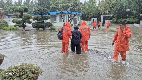 '괴물호우'에 전남 농작물 2919㏊ 피해…오리·닭 5.7만 마리 폐사