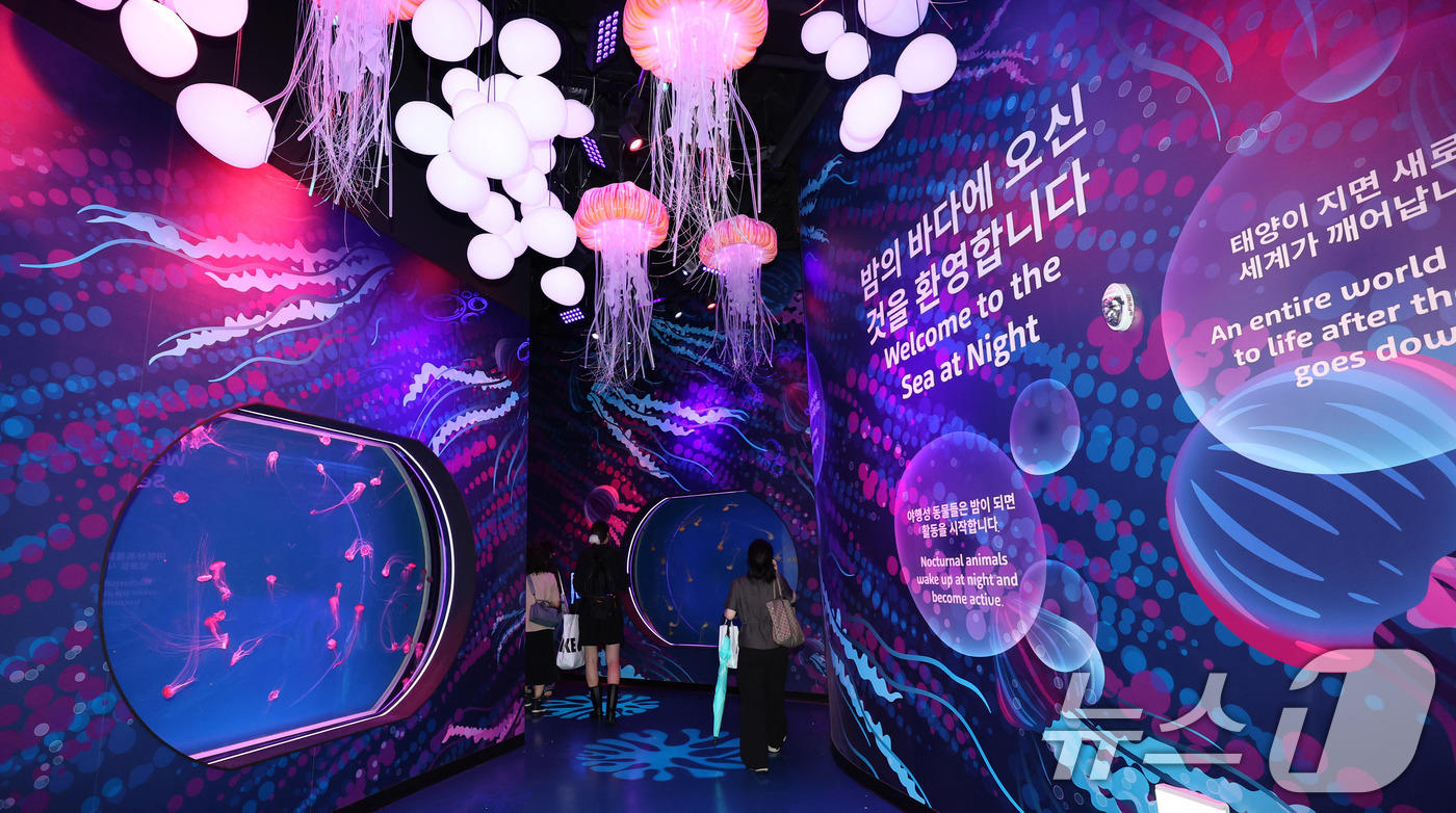 (서울=뉴스1) 박지혜 기자 = 17일 서울 강남구 코엑스 아쿠아리움에서 열린 별빛 바다(Sea at Night) 프리뷰 행사에서 참석자들이 신규 테마존을 둘러보고 있다.서울 대표 …