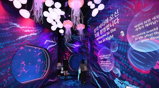 미디어아트가 결합된 신규 테마존 '별빛 바다'