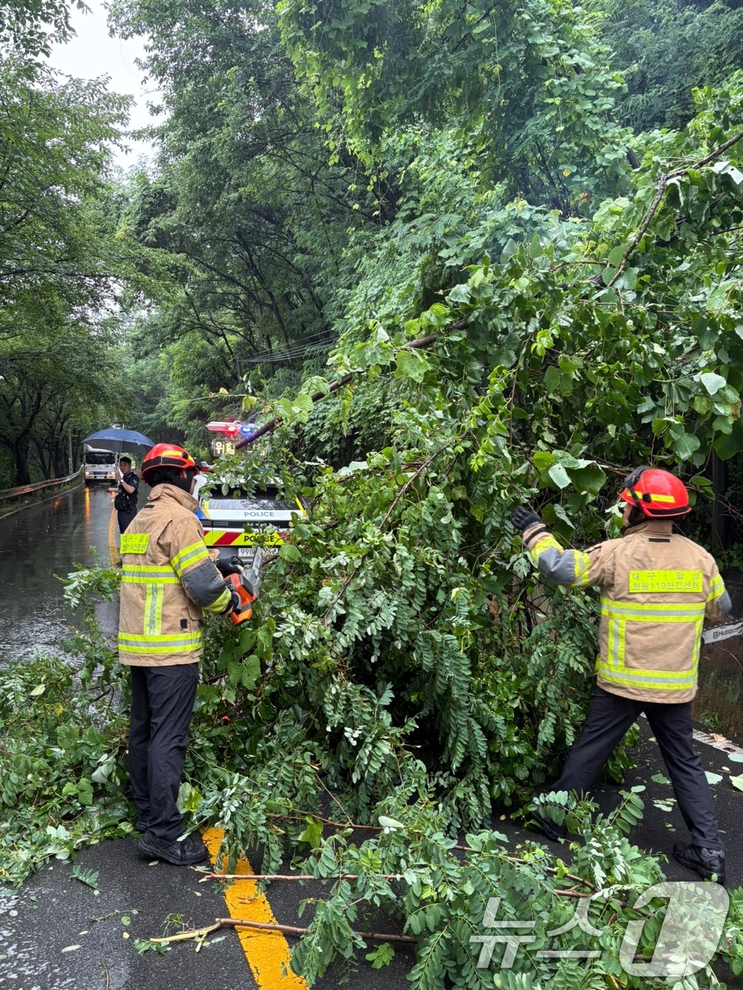 (서울=뉴스1) = 17일 오전 대구시 달성군 현풍읍에서 집중호우 및 강풍으로 인해 나무가 도로로 쓰러져 출동한 소방대원들이 안전조치를 하고 있다. (소방청 제공. 재판매 및 DB …