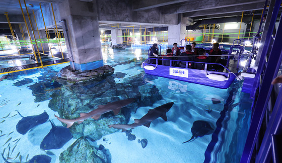 수족관 생물 동물복지 강화…해수부, '제2차 수족관 관리 종합계획' 수립