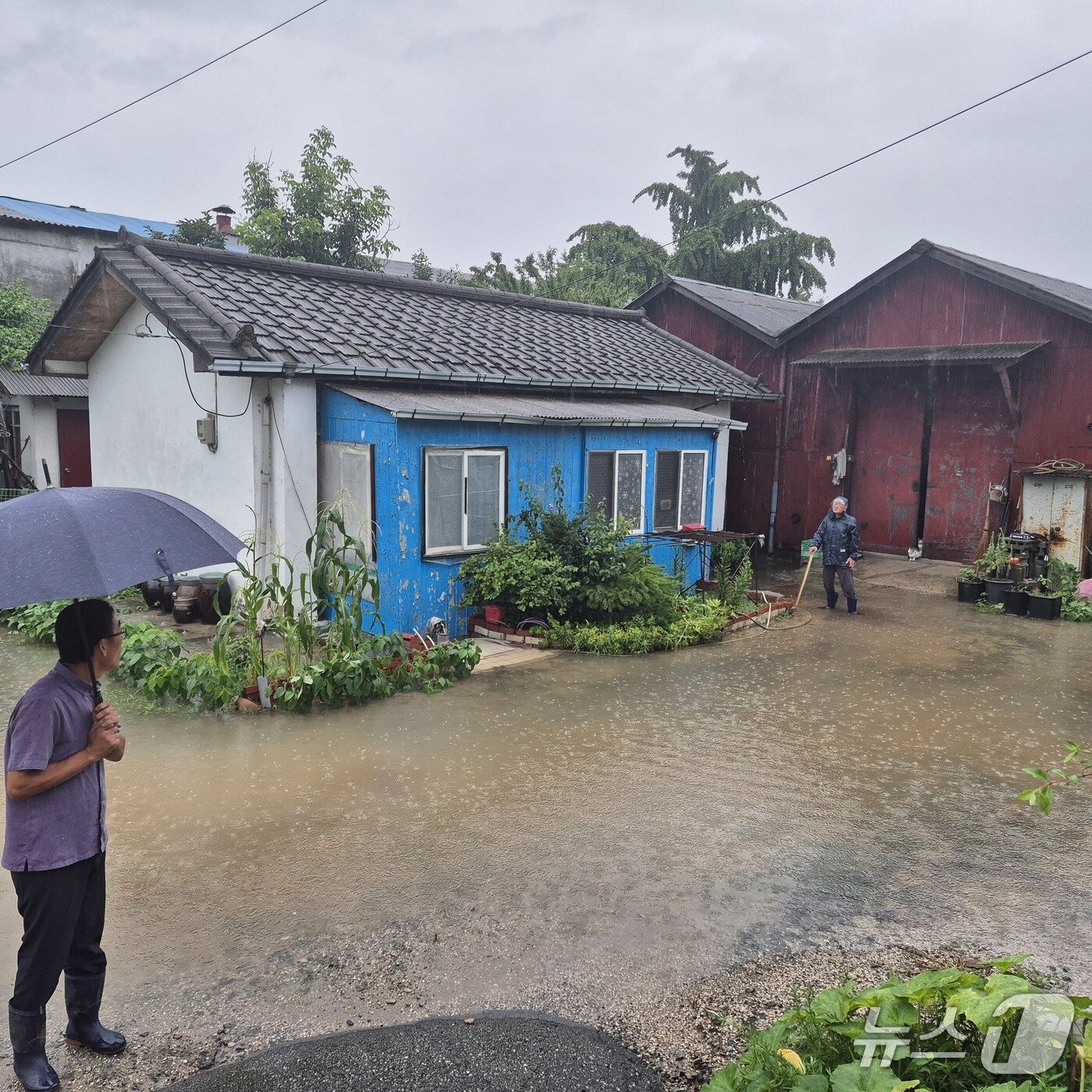 본문 이미지 -  오전 9시 37분쯤 증평군 증평읍의 한 단독주택 마당이 침수됐다.(충북소방본부 제공. 재판매 및 DB금지)./뉴스1