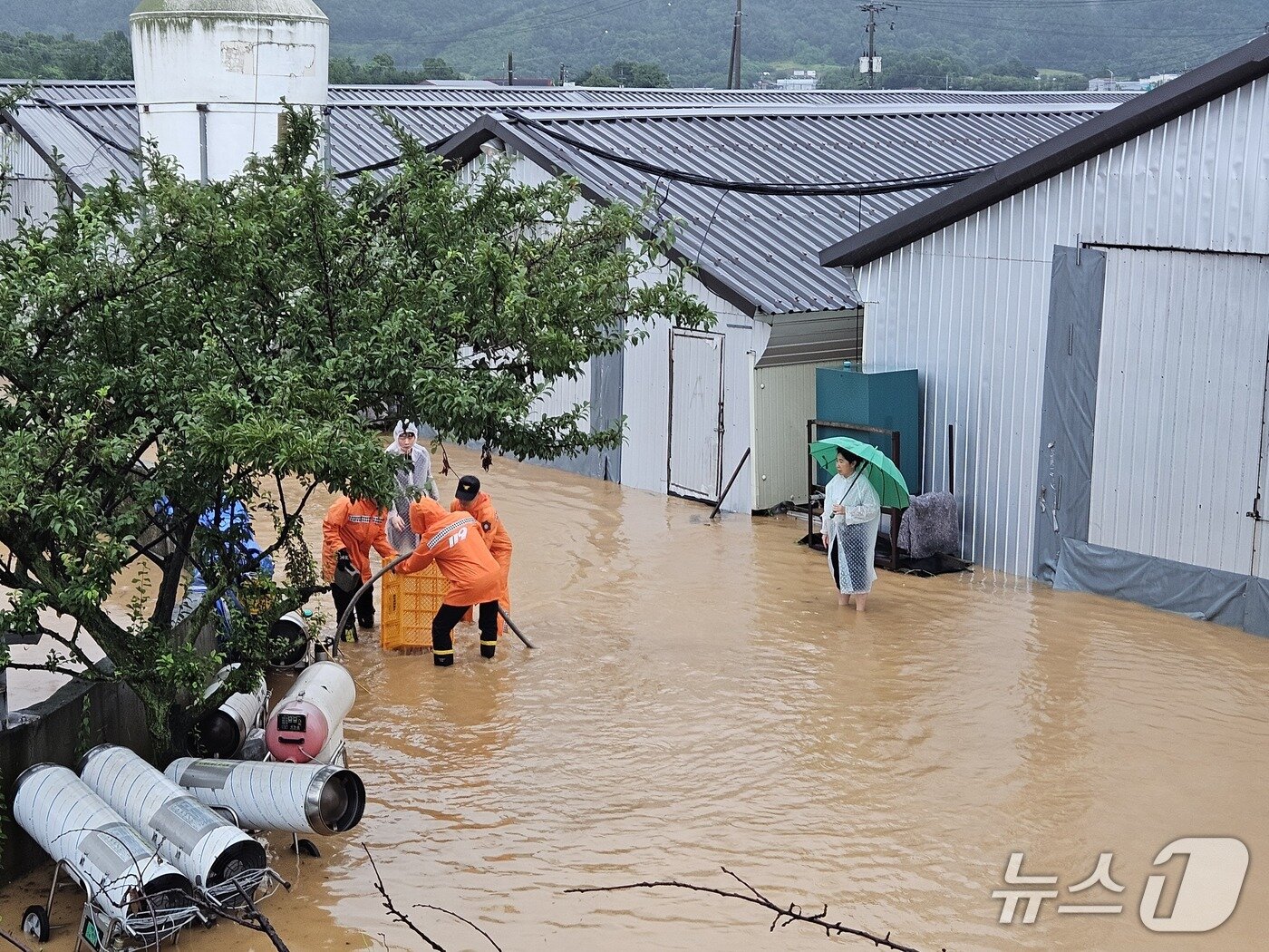 본문 이미지 - 진천군 초평면 초금로 일대 바닥이 침수됐다.(충북소방본부 제공. 재판매 및 DB금지)./뉴스1