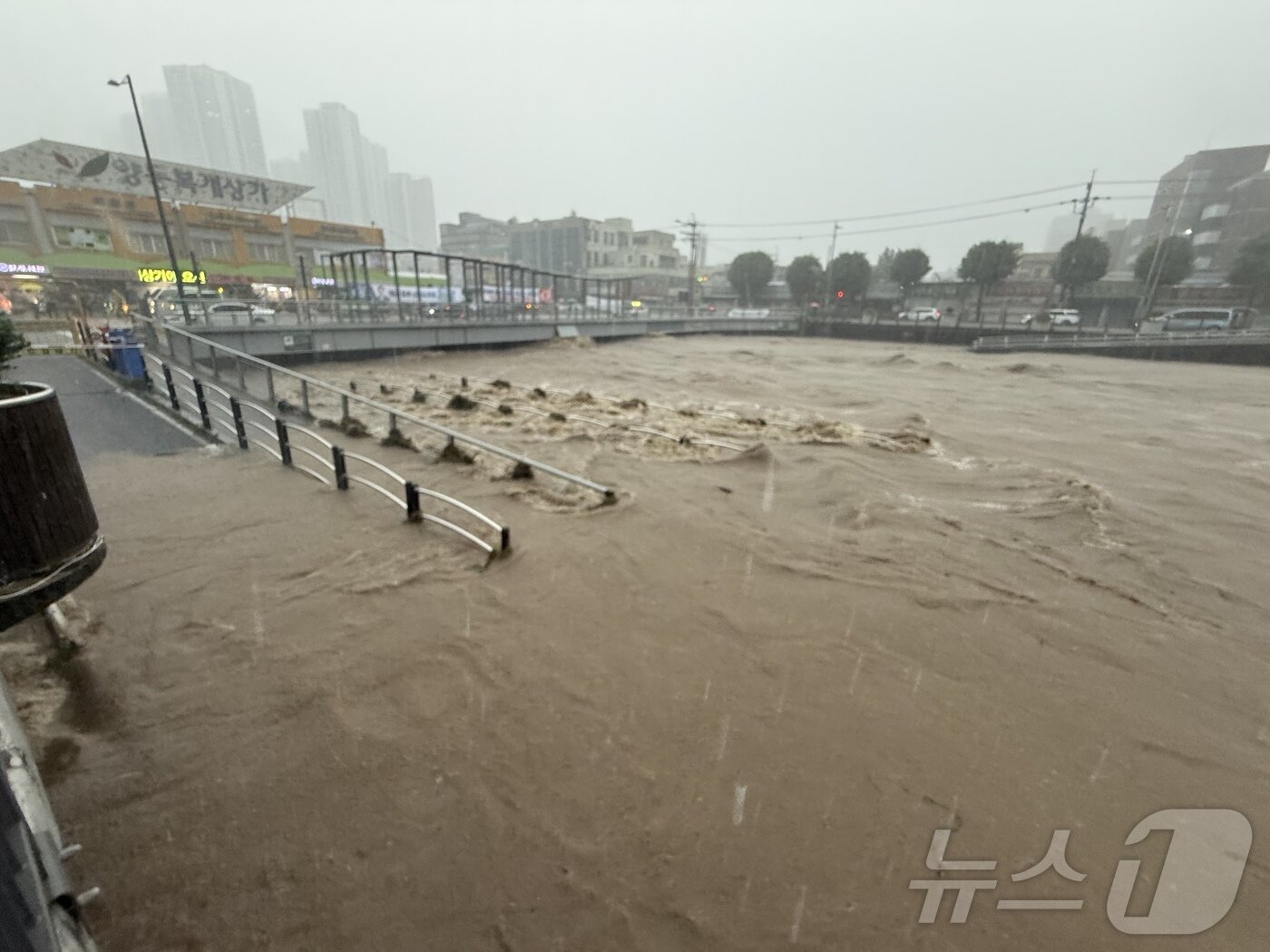 본문 이미지 - 17일 이어진 집중호우로 광주천을 가로지르는 태평교가 범람 직전에 놓여 있다. 이에 따라 광주 서구는 양동복개상가 인근 상인과 일대 주민들에게 대피 명령을 내렸다. 닭전길과 수산시장, 복개상가를 비롯해 양동시장 전체 점포 수는 1000개 이상이다. 2025.7.17/뉴스1 ⓒ News1 김태성 기자