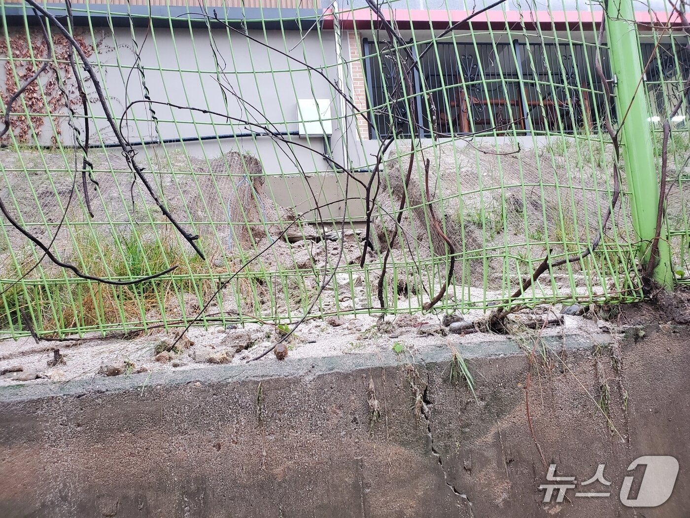 본문 이미지 - 강원 춘천의 한 초등학교 체육관 옆에서 흘러내린 토사.(강원도교육청 제공, 재판매 및 DB금지) 