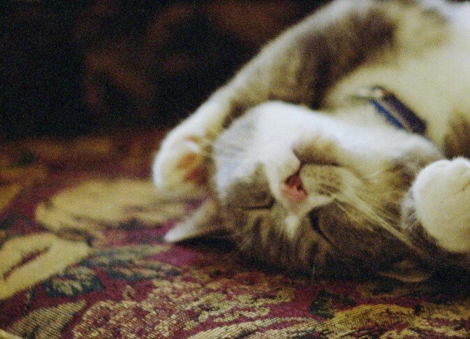 본문 이미지 - 빛의 색을 담은 그릇 Pitcher of Colored Light, 2000-2007, 16mm, 컬러, 유성, 23분 (국립현대미술관 제공)