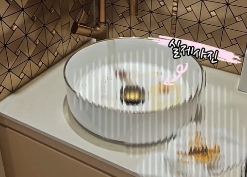 뷰티숍 세면대에 대변 테러한 모녀 "씻길 수도 있지" 