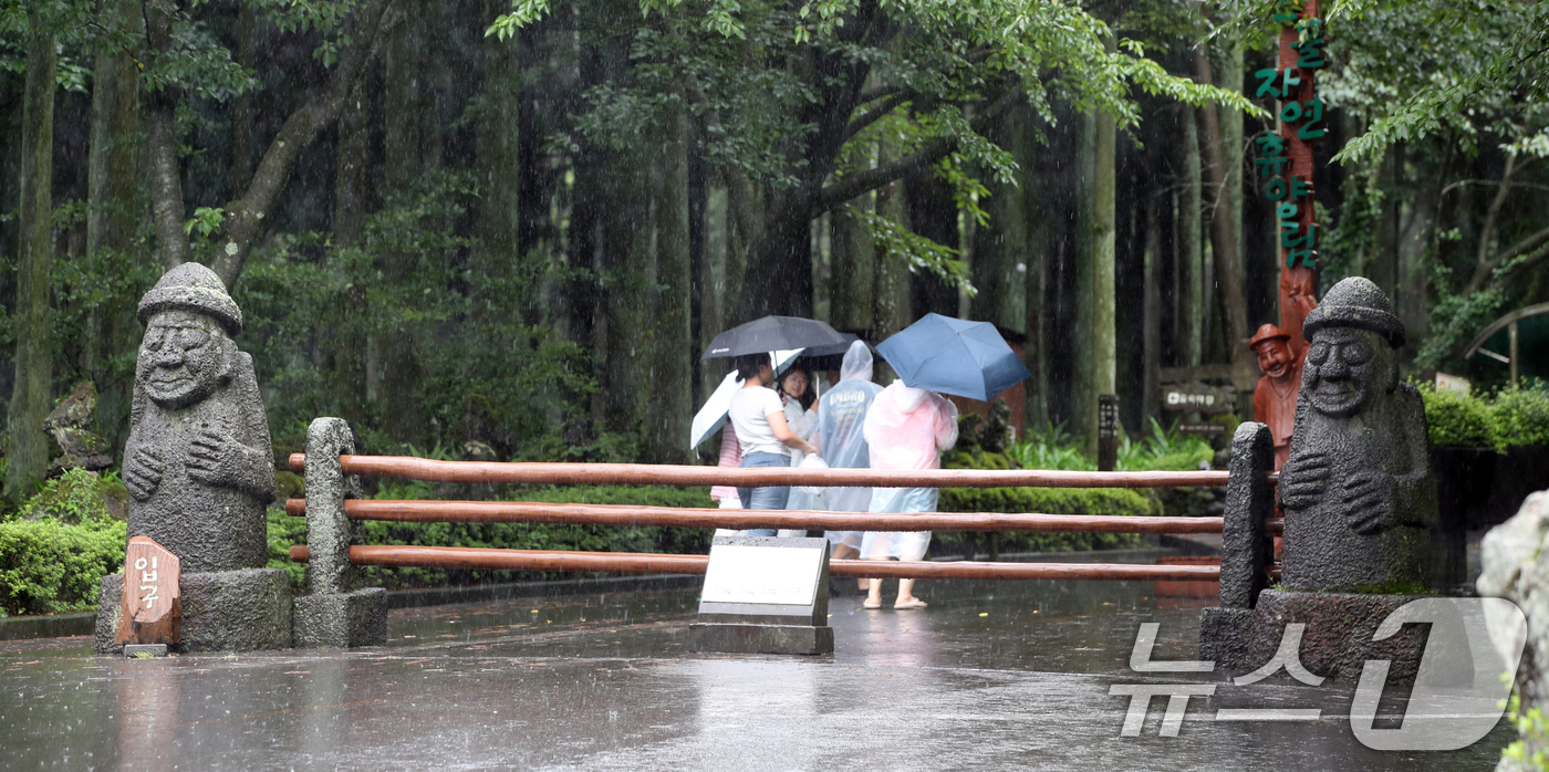 (제주=뉴스1) 오현지 기자 = 제주도 산지·북부 중산간에 호우특보가 내려진 18일 오후 제주시 봉개동 절물자연휴양림에 많은 비가 내려 탐방객이 급히 발걸음을 옮기고 있다. 202 …