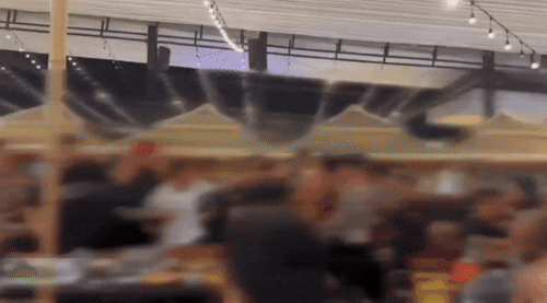 본문 이미지 - &#40;틱톡 &#39;robinluo1121&#39; 갈무리&#41;