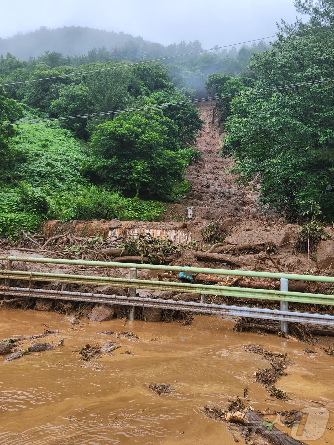 (부산ㆍ경남=뉴스1) 강미영 기자 = 19일 경남 하동군 악양면에서 토사가 유실돼 흙탕물이 흘러내리고 있다.(하동군 제공. 재판매 및 DB금지) 2025.7.19/뉴스1
