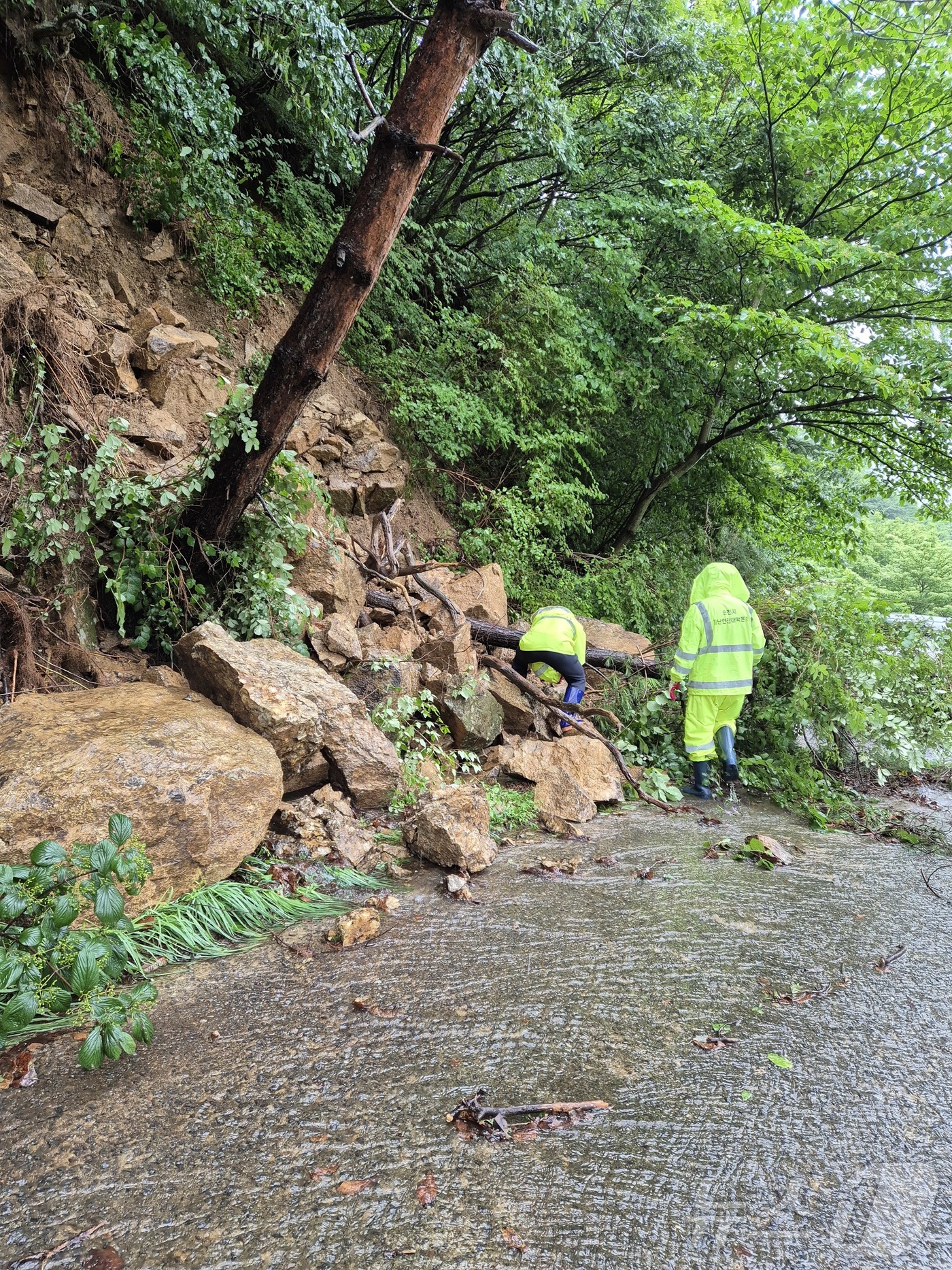 (순천=뉴스1) = 19일 오전 전남 순천시 도심 곳곳에서 관련 당국이 호우 피해 안전 조치를 하고 있다.(순천시 제공. 재판매 및 DB 금지) 2025.7.19/뉴스1
